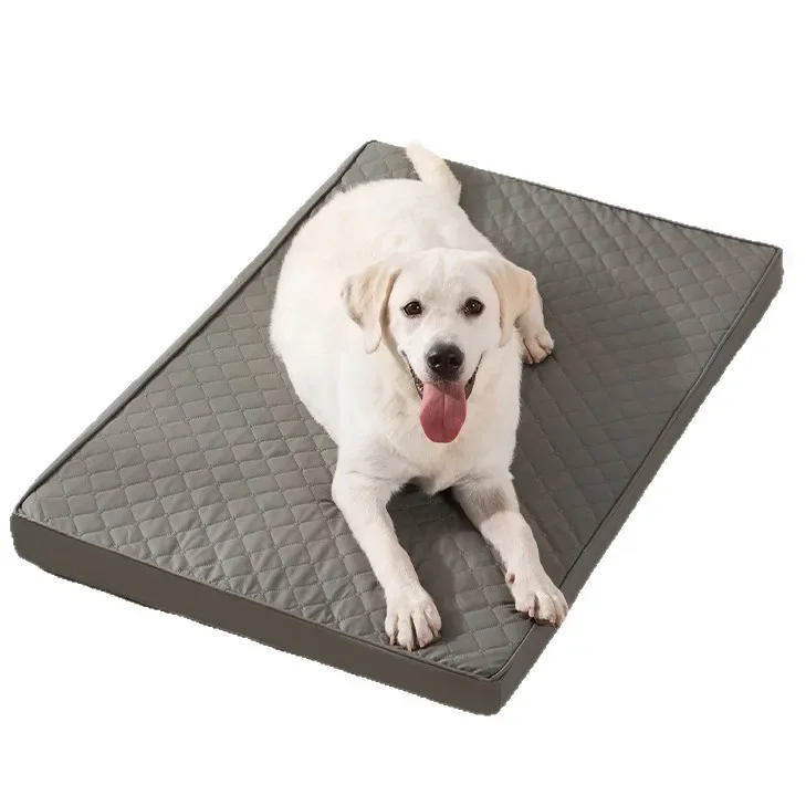Removable washed pet sleeping mat, cat and dog zero memory high elastic sleeping sofa cushion multi-size pet supplies