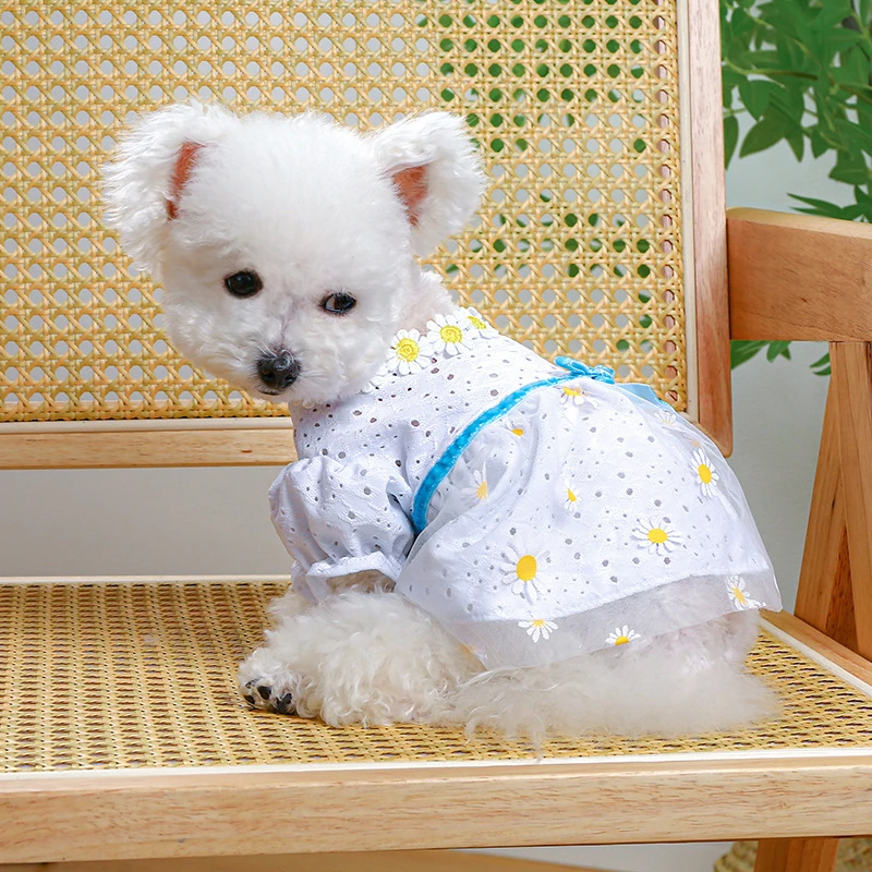 

Daisy Embroidery Fancy Dresses for Small Dogs Hollow Veil Princess Party Cat Clothing York Dog New Designer Spring Puppy Clothes