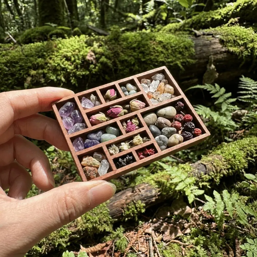 Wooden Mini Jewelry Holder Miniature Crystal Ore Specimen Storage Miniature Trinket Shelf Multi Compartments