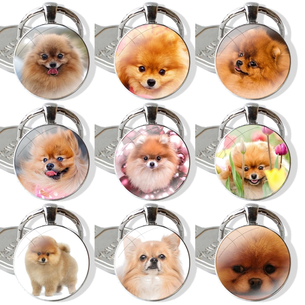 Pomeranian dogs dog Glass Metal Pendant Key Chain Classic Men Women Key Ring Accessories Jewelry Gifts