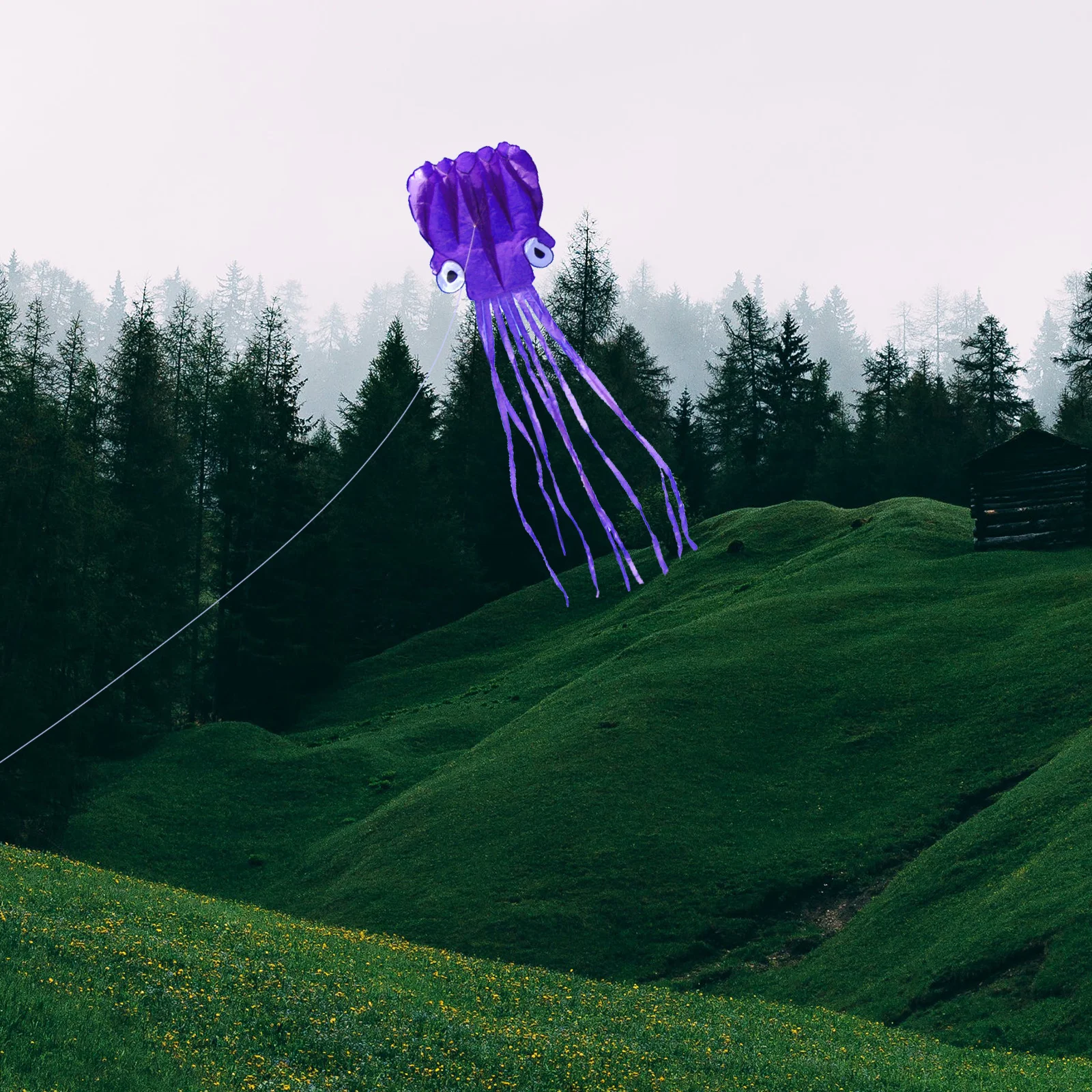 

Colorful Octopus Kite Cartoon Shape Long Tail Easy Flying Outdoor Kite for Park Play Cartoon Kites,