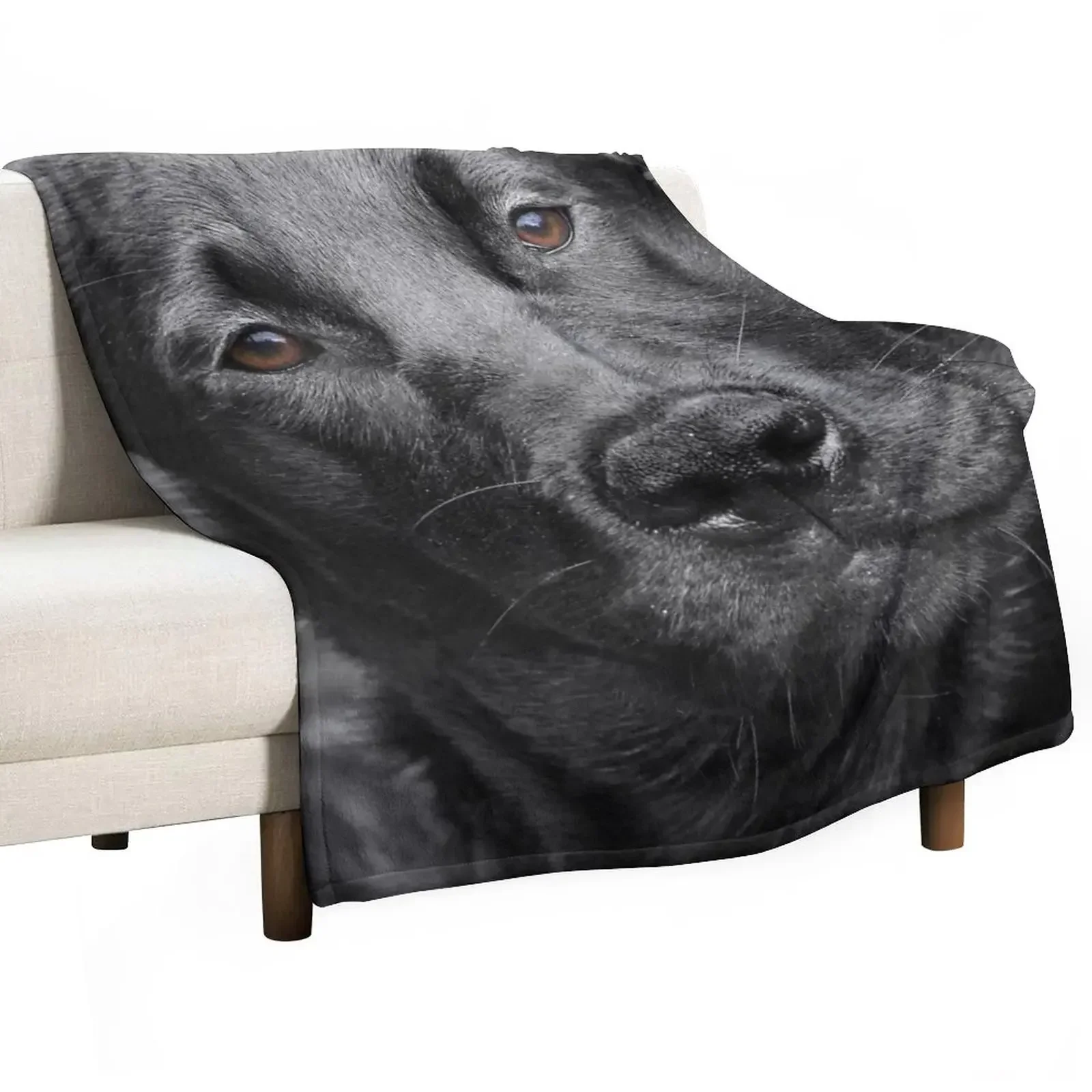 

Black Labrador dog Throw Blanket Large Blankets For Bed manga Blankets