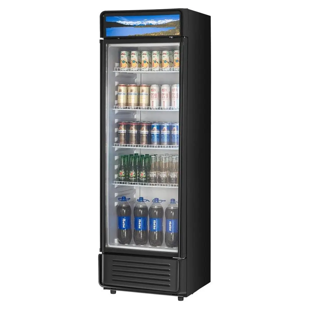 

Commercial Display Refrigerator 13.3CUFT Glass Door Merchandiser Chilled Showcase for Beverages Storage