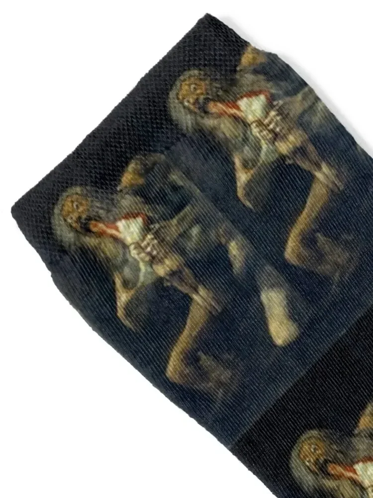 Saturn Devouring His Son by Francisco Goya Socks hip hop kids christmas stocking funny sock Socks Man Women's