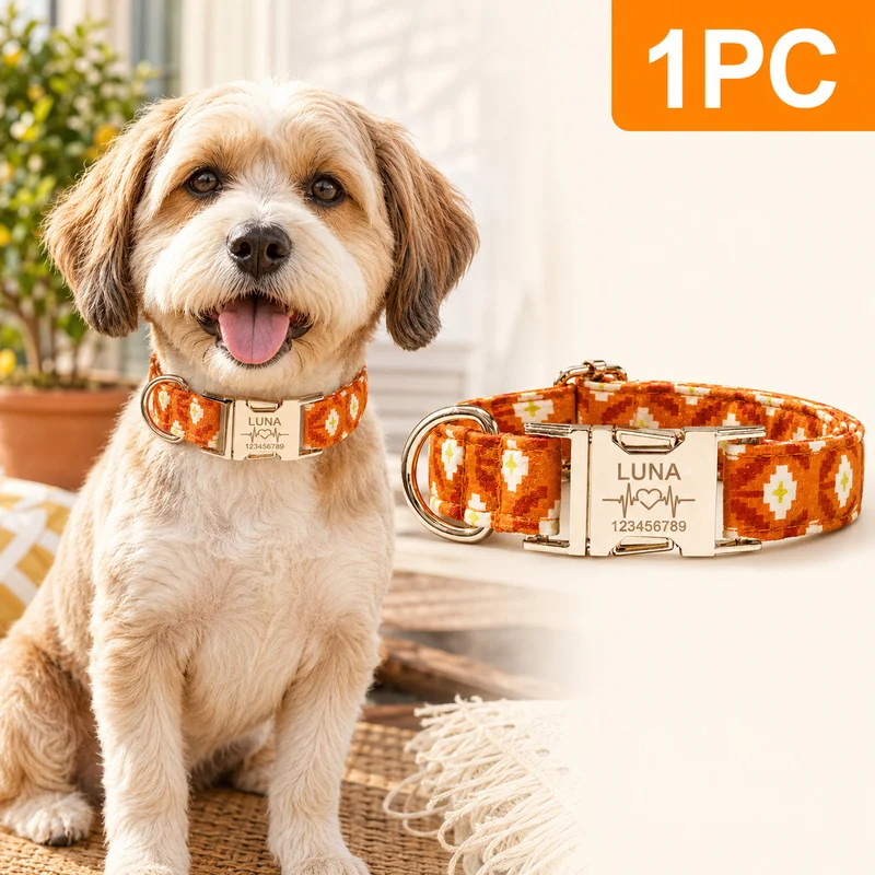 The metal buckle can be engraved with pet information and comes with 9 vector patterns, ideal for daily walks.