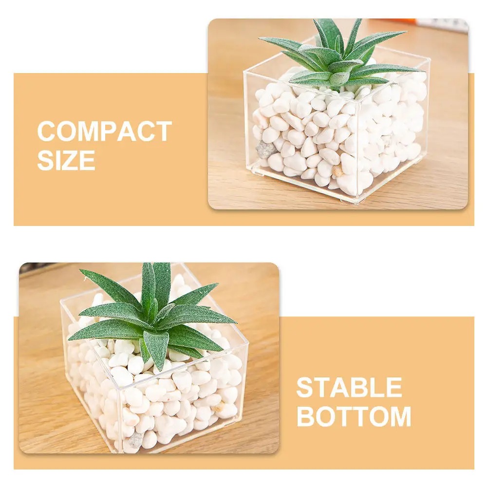

2Pcs Clear Micro Landscape Vessel Hydroponic Succulent Planter Desktop Eco Bottle DIY Plants Container Transparent Plastic