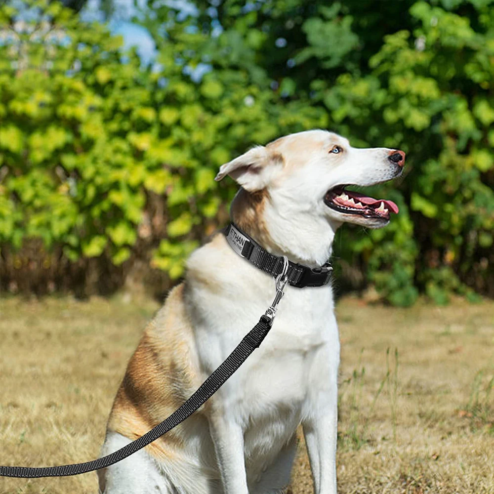 Personalisiertes, reflektierendes, individuell graviertes Hundehalsband, Namens-ID-Tag, leuchtender Welpe, glänzend, großes Unisex-Hundehalsband – Detail 7