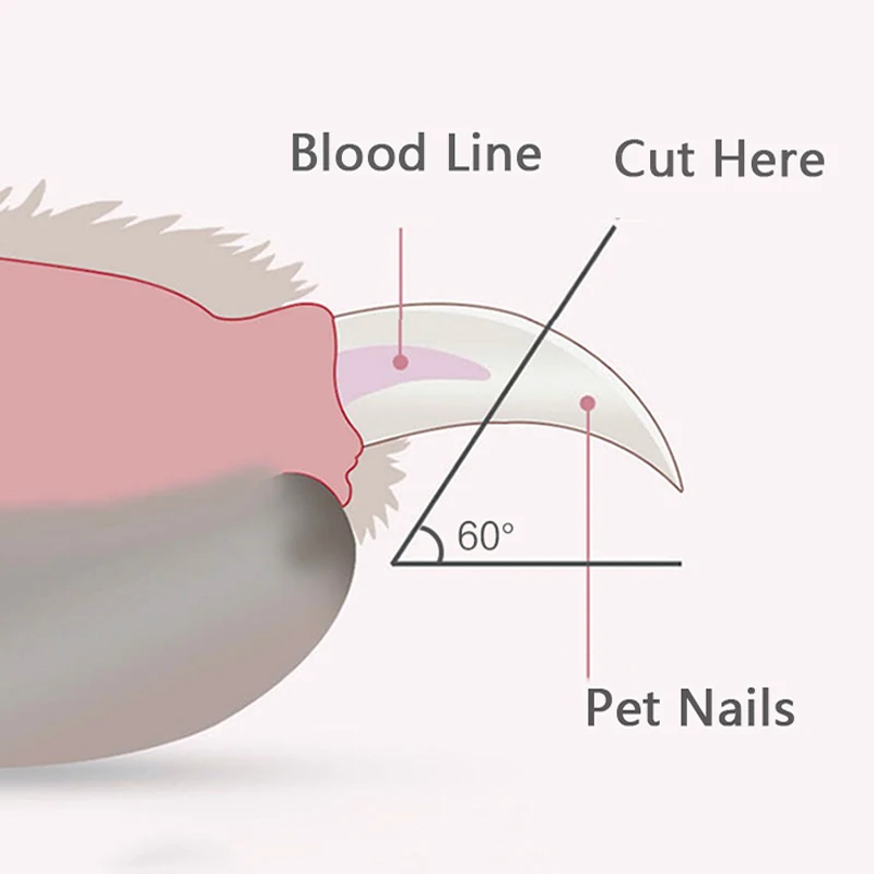 Profissional Pet Nail Clippers com Luz LED, Garra Grooming Scissors para Cães, Gatos, Pequenos Animais Paw Trimmer, Pet Supply