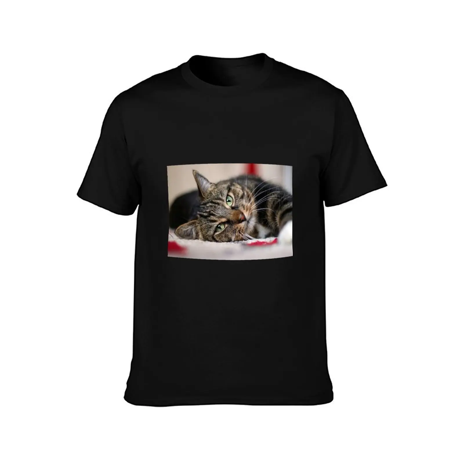 Cat selfie T-Shirt Minimalist Plain Crew Neck T-Shirt
