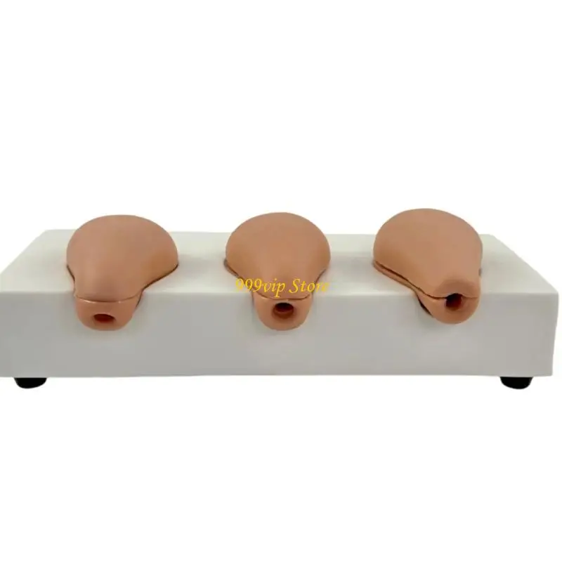 

C90C Профессиональная модель матки для моделирования абортов для клинической подготовки и обучения