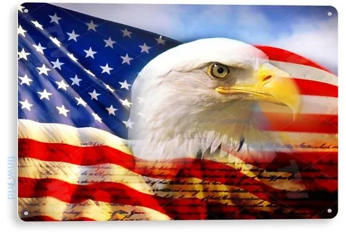 TIN SIGN Eagle Flag Bald American Stars Stripes Metal Décor Patriotic Art A348