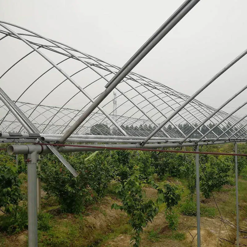 Szybkozmontowane stalowe budynki przemysłowe i rolnicze, szklarnie na farmy do uprawy i hodowli, rok 2025