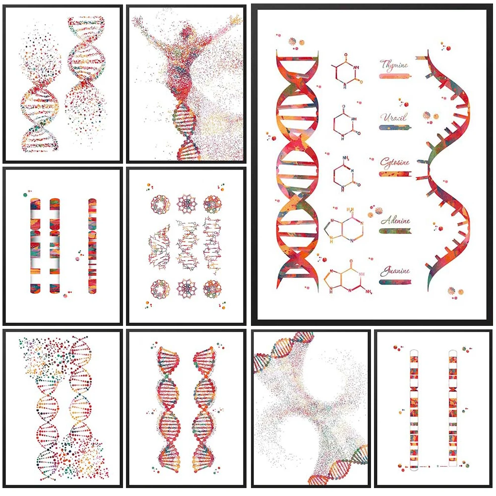 DNA Replication Science Genetic Chromosome Anatomy Poster Wall Art Canvas Painting Decor Wall Pictures For Living Room Unframed