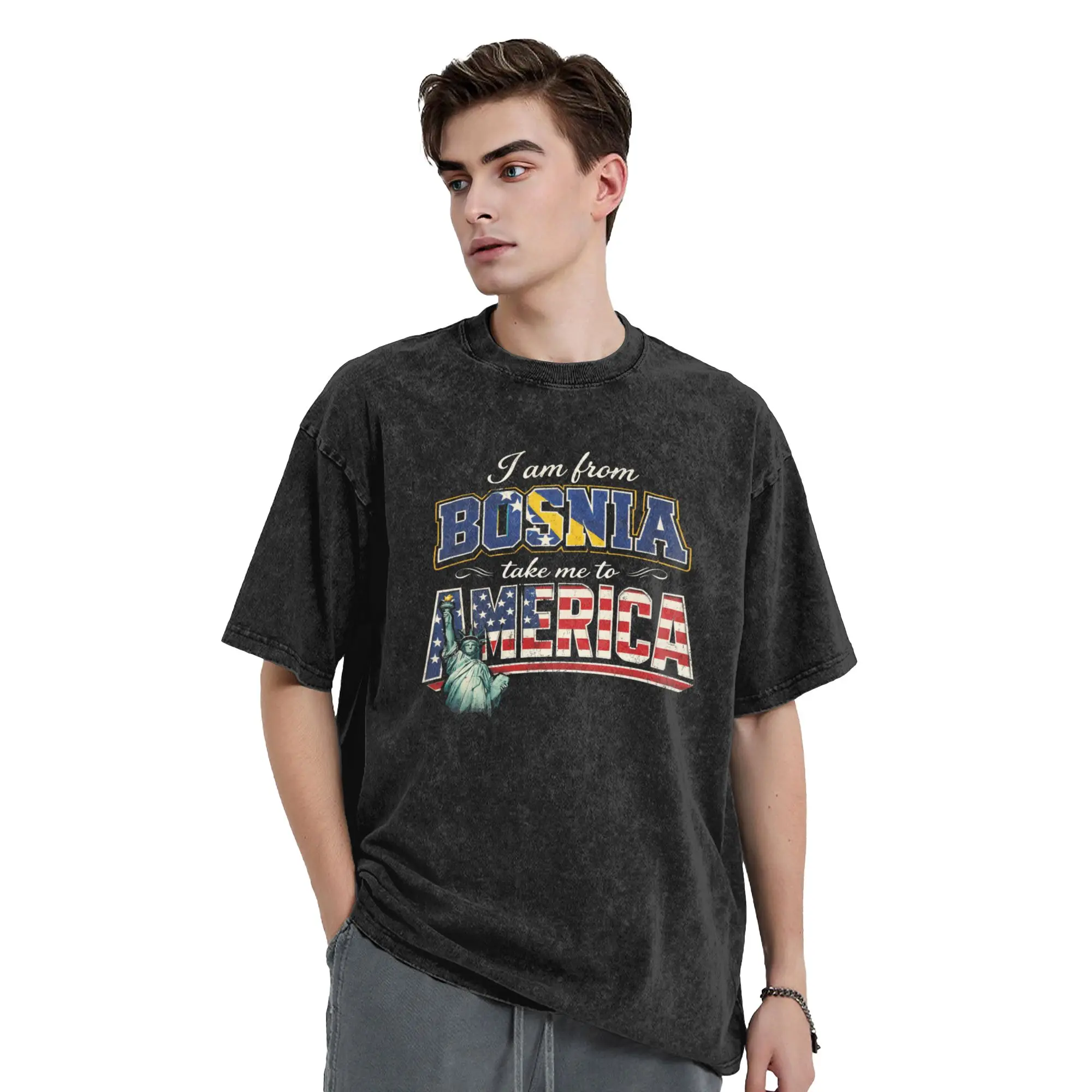 I Am From Bosnia Please Take Me To America T-Shirts Men  Casual Pure Cotton Tees Round Collar Short Sleeve Big Size Clothes