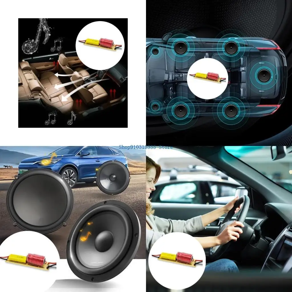 Dwórz drogi Bass i Trebles Rozdzielacz CAR SHORED DIVINER DO