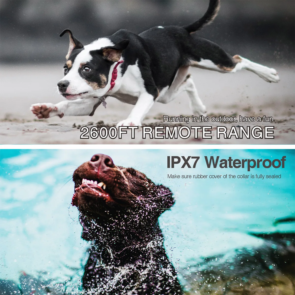 

Dog Training Collar with Remote, IPX7 Waterproof Dog Collar, With 3 Training Modes, for All Breeds, Small, Middle, Large Dogs