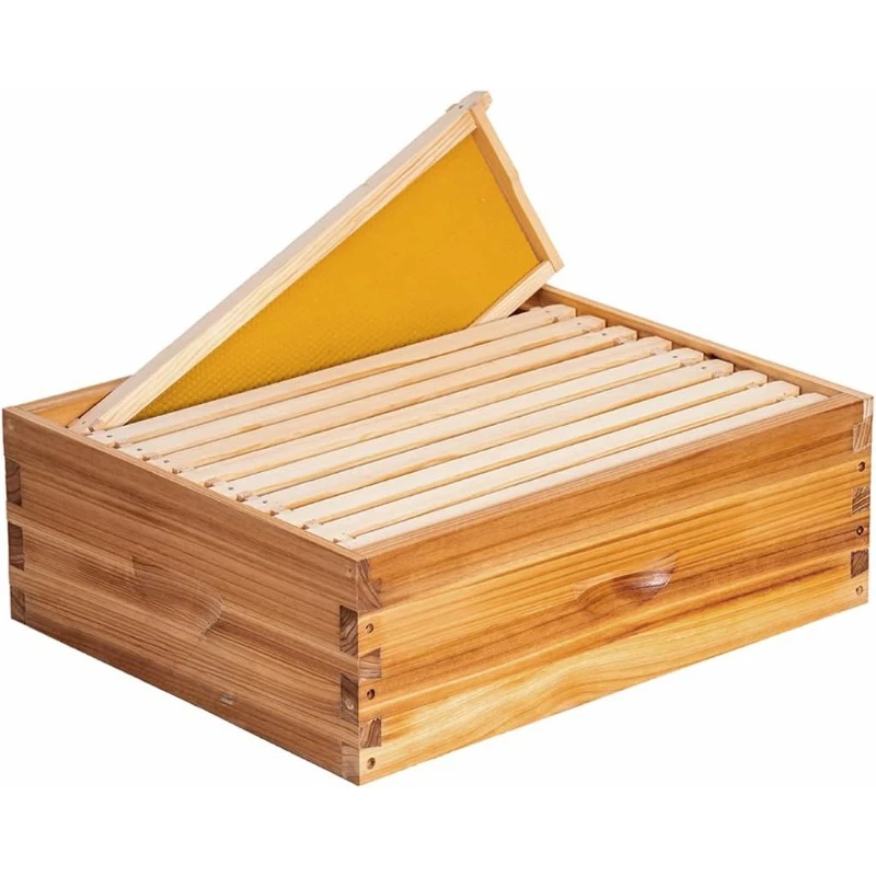 

10-Frame Beehive Box Medium Super Bee for Sale Wax Coated Hives Includes Wooden Frames Waxed Foundations (Unassembled)