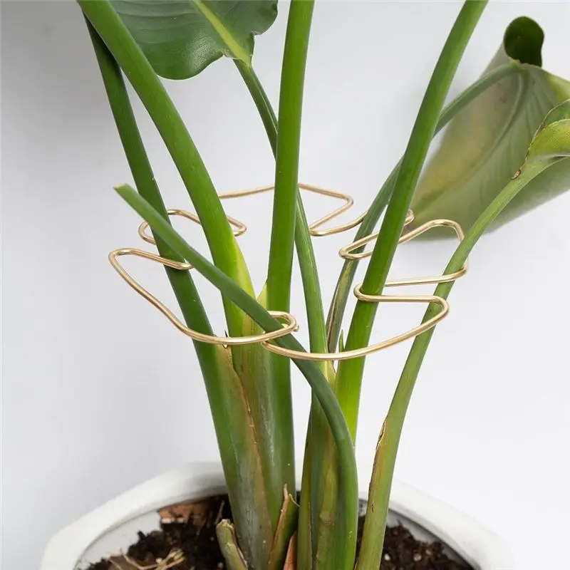 AEE3-Monstera Stem Support 5Pcs Plant Support System For Monstera & Turtle Shell Plants-Quality Leaf Clamps