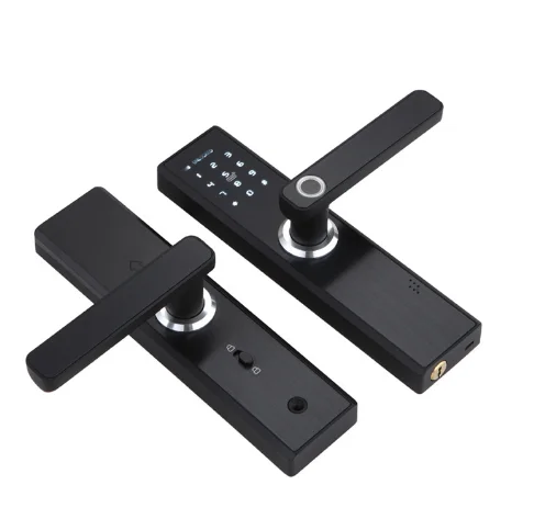 

Popular Design Password Keyless Apartment Safe Intelligent Fingerprint Wifi Smart Door with Smart Living App