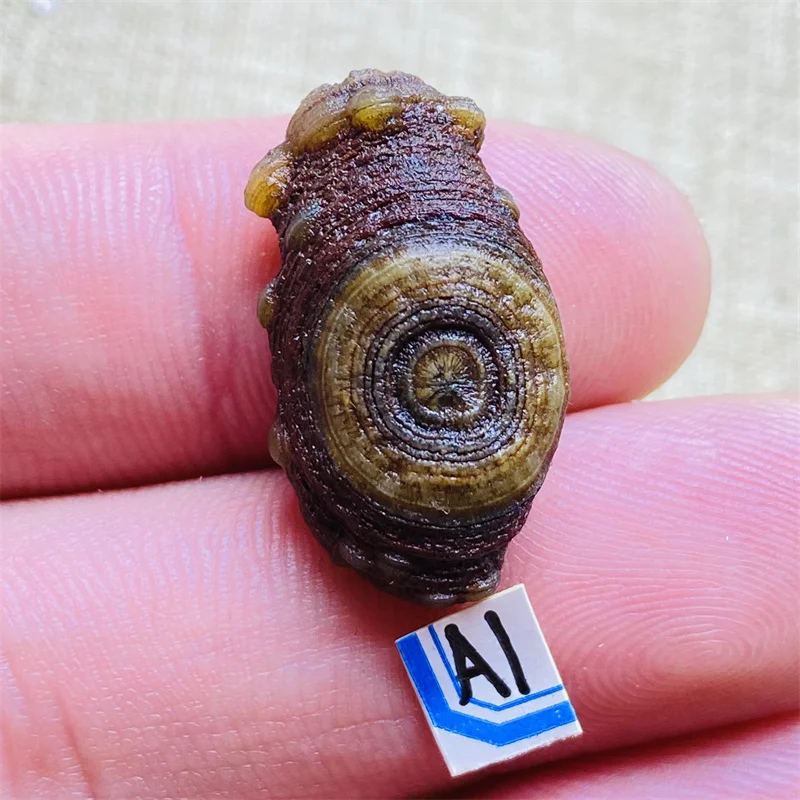 5A+Natural Gobi Agate Energy Crystals And Stones Healing Decoration Maison Witchcraft Stons