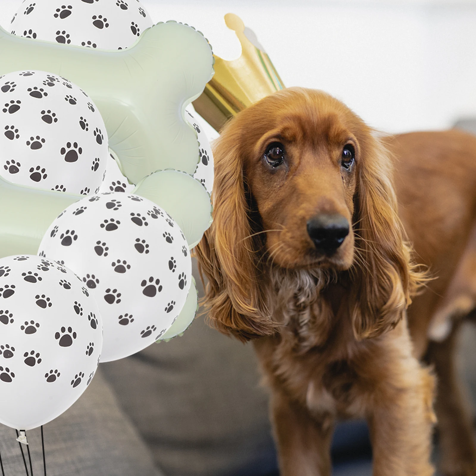 

1 set Bone Shaped Balloons Dog Paw Pattern Bright Color Safe Premium Material Pet Birthday Party Home Bar Club Decor Photo