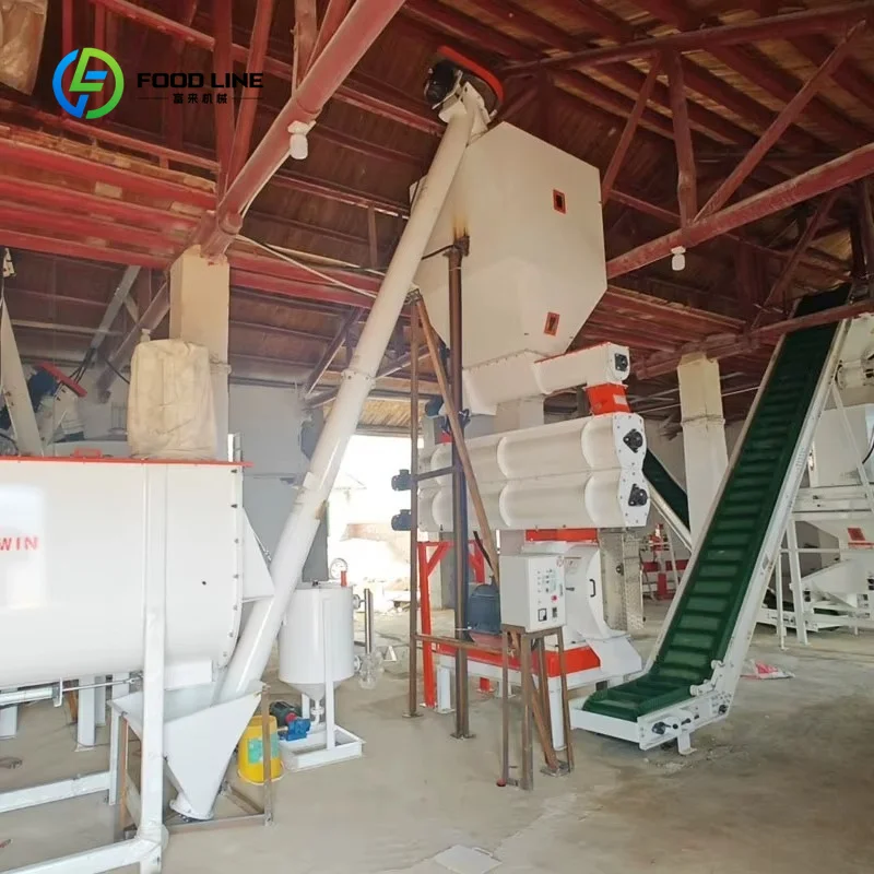 Customized Hot Sale CE Approved Stainless Complete Feed Pellet Plant 2-4t/h Full Automatic Animal Feed Pellet Production Line