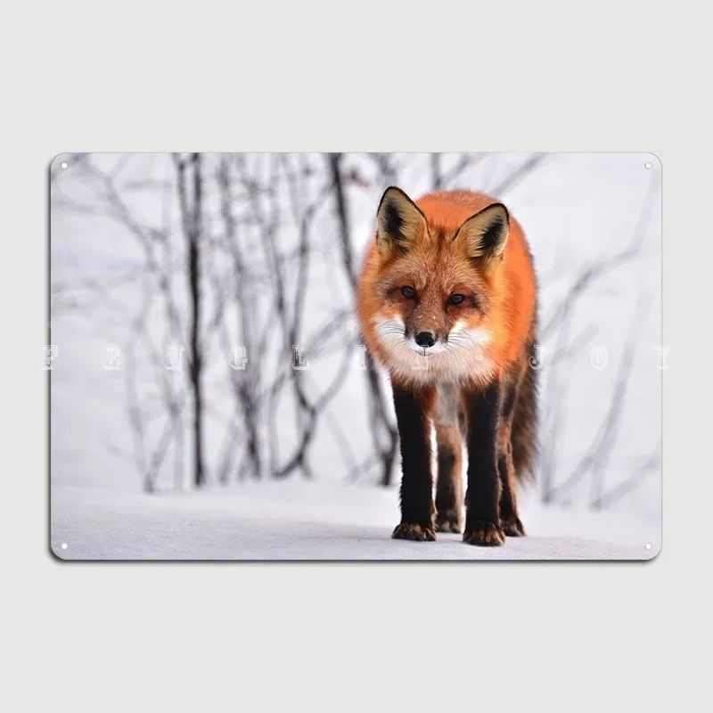 Metallschild „Red Fox In The Snow“ mit Design für Wanddekoration, Heimkino, Garage, Blechschilder, Poster