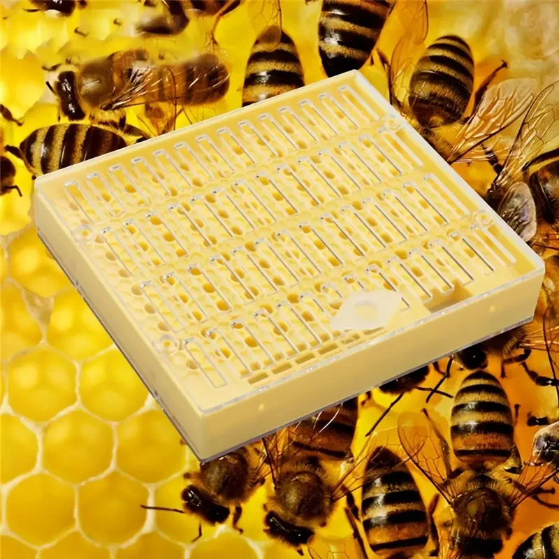 Queen bee breeding box set without insect transfer Queen bee breeding box Queen bee breeding tools Beekeeping tools breeding equ