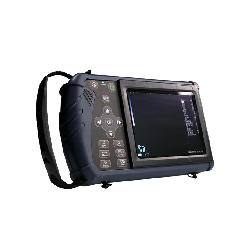 Rectal Linear Probe Portable Veterinary Ultrasound Detector Waterproof For Cattle Equine