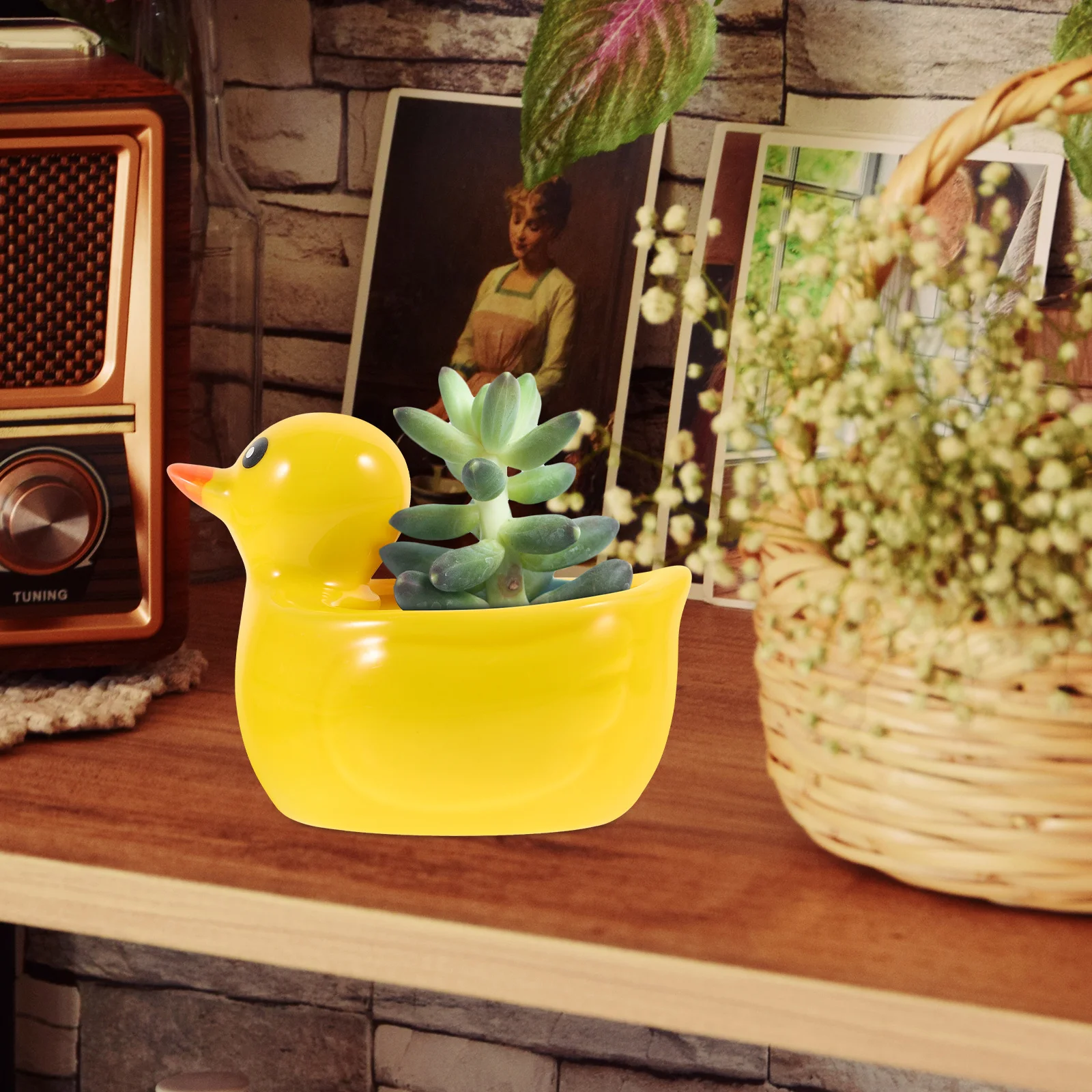 

1Pcs Small Duck Flowerpot Creative Cartoon Animal Shaped Resin Succulent Pot for Home Garden Decorative Plant Container