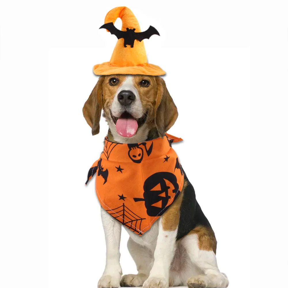 Cross-border new Halloween pet set bat hat pumpkin saliva towel cat dress funny jewelry