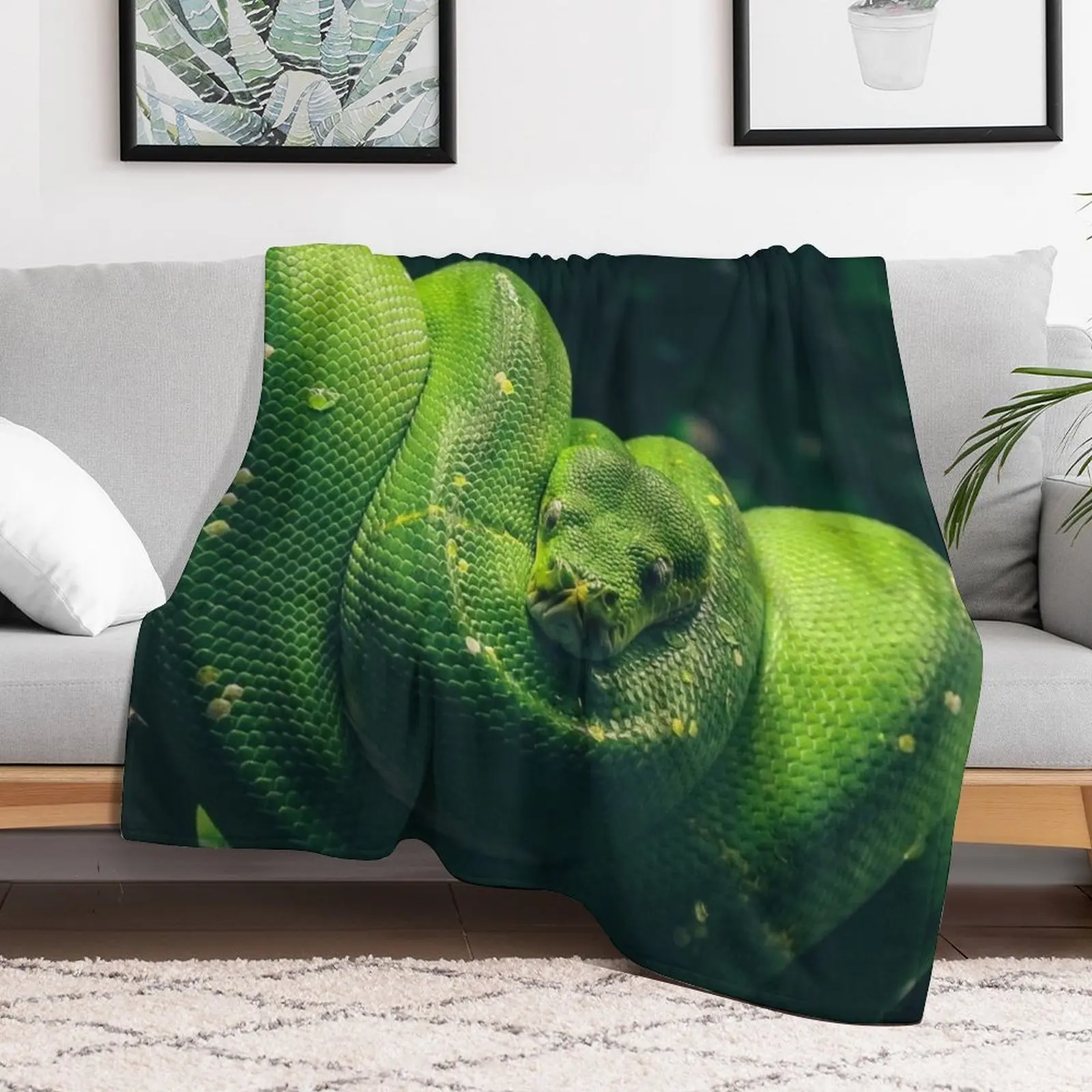 Green Tree Python Throw Blanket Multi-Purpose Picnic Thermal Luxury Throw Blankets