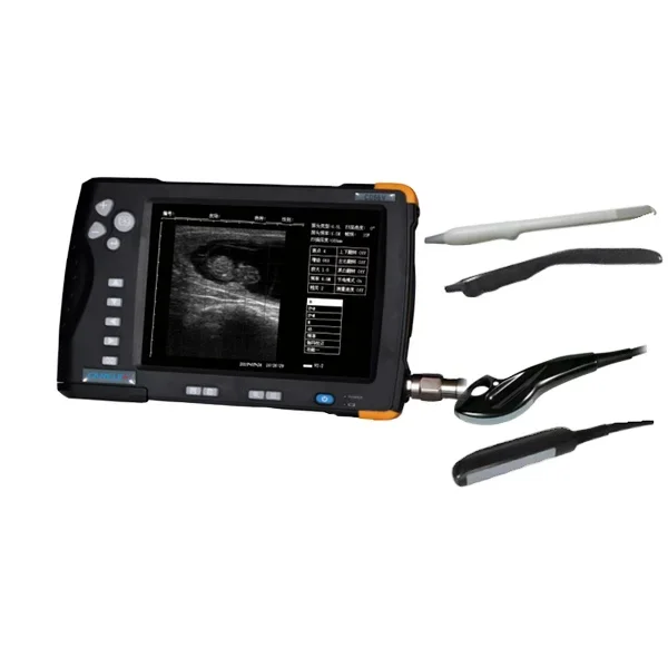 

Veterinary ultrasound scanner CD66V for pig, cow and sheep