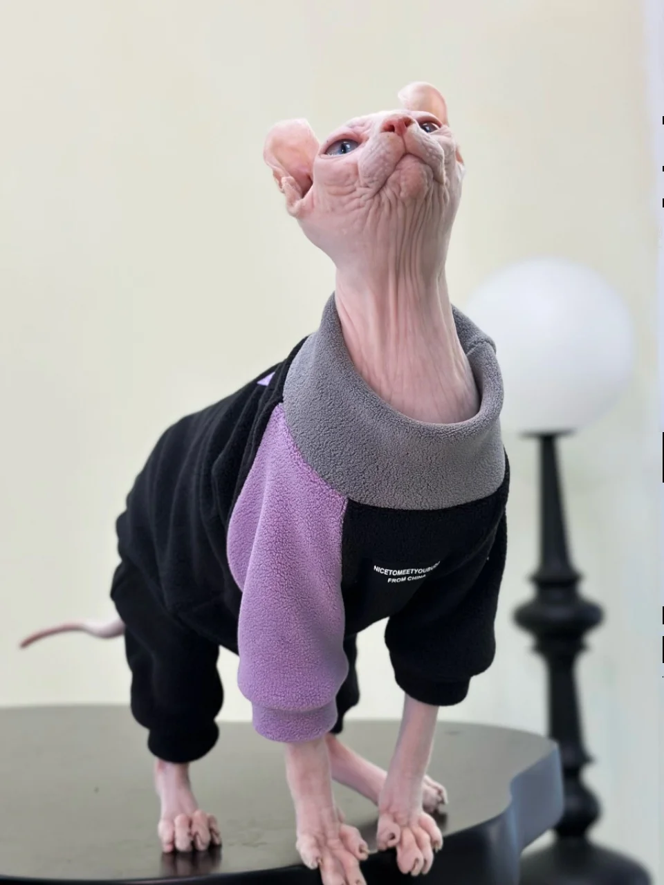 Fashion Sphynx Cat Clothes Thick Cotton 4-legged Warm Jumpsuit for Kittens Winter Coat Sweatshirt For Devon Rex Cat Supplies