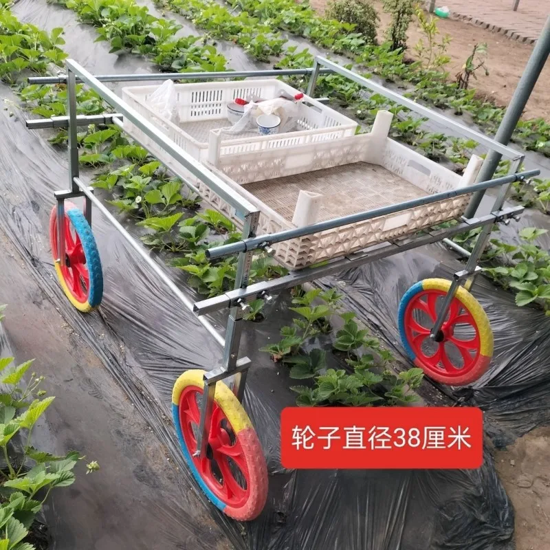 

Picking Strawberry Cart Strawberry Greenhouse Ridge Ditch Hand Push Field Ridge Transporter Others