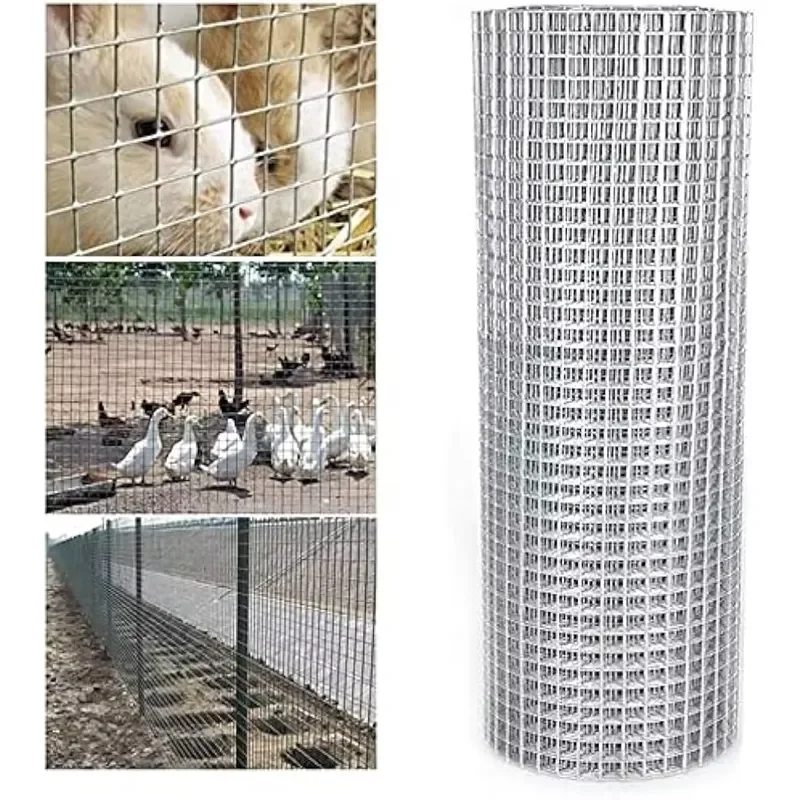 Galvanized Welded Wire Mesh Chicken Wire Mesh with Heat Treated Frame and 3D Modeling Service for Fencing Trellis & Gates