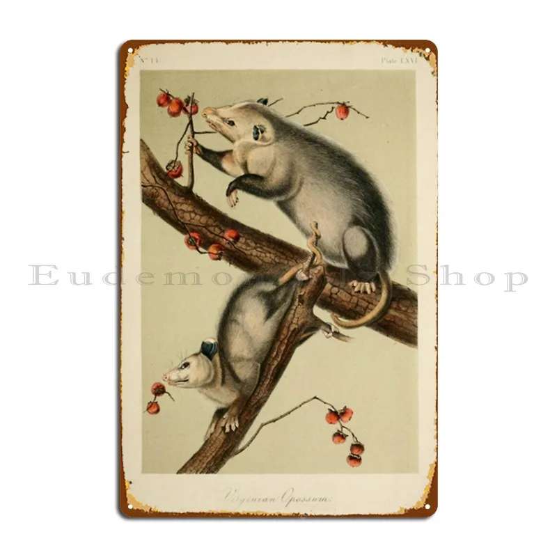 Naturalist Opossum Metal Sign Home Wall Mural Wall Cave Pub Designing Tin Sign Poster