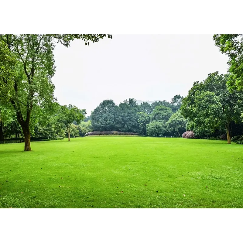 Natural Scenery Photography Background Green grass Forest Flower Landscape Travel Photo Backdrops Studio Props 21128 CTCD-04