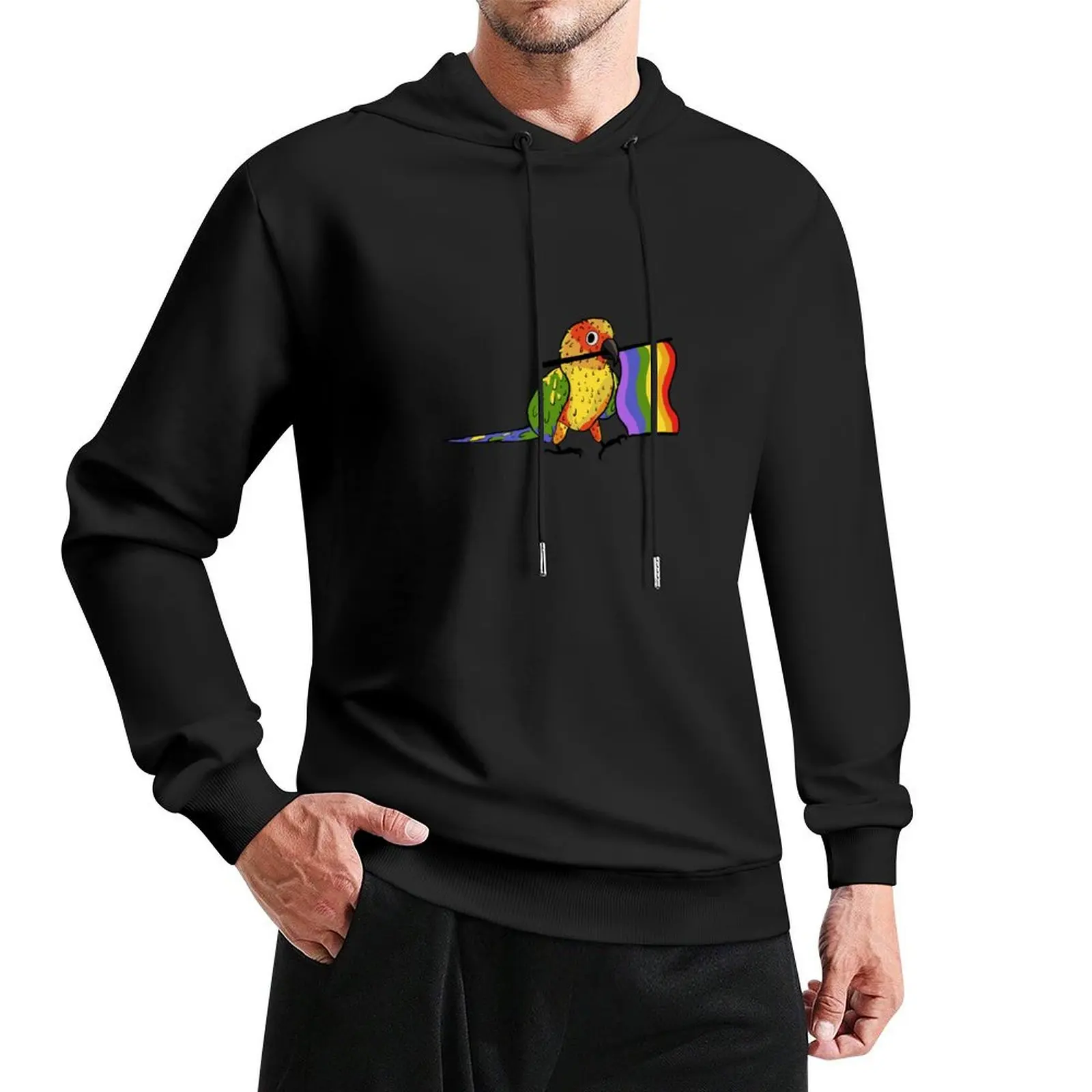 

Pride parrots - LGBTQ+ sun conure Pullover Hoodie aesthetic clothing new in hoodies