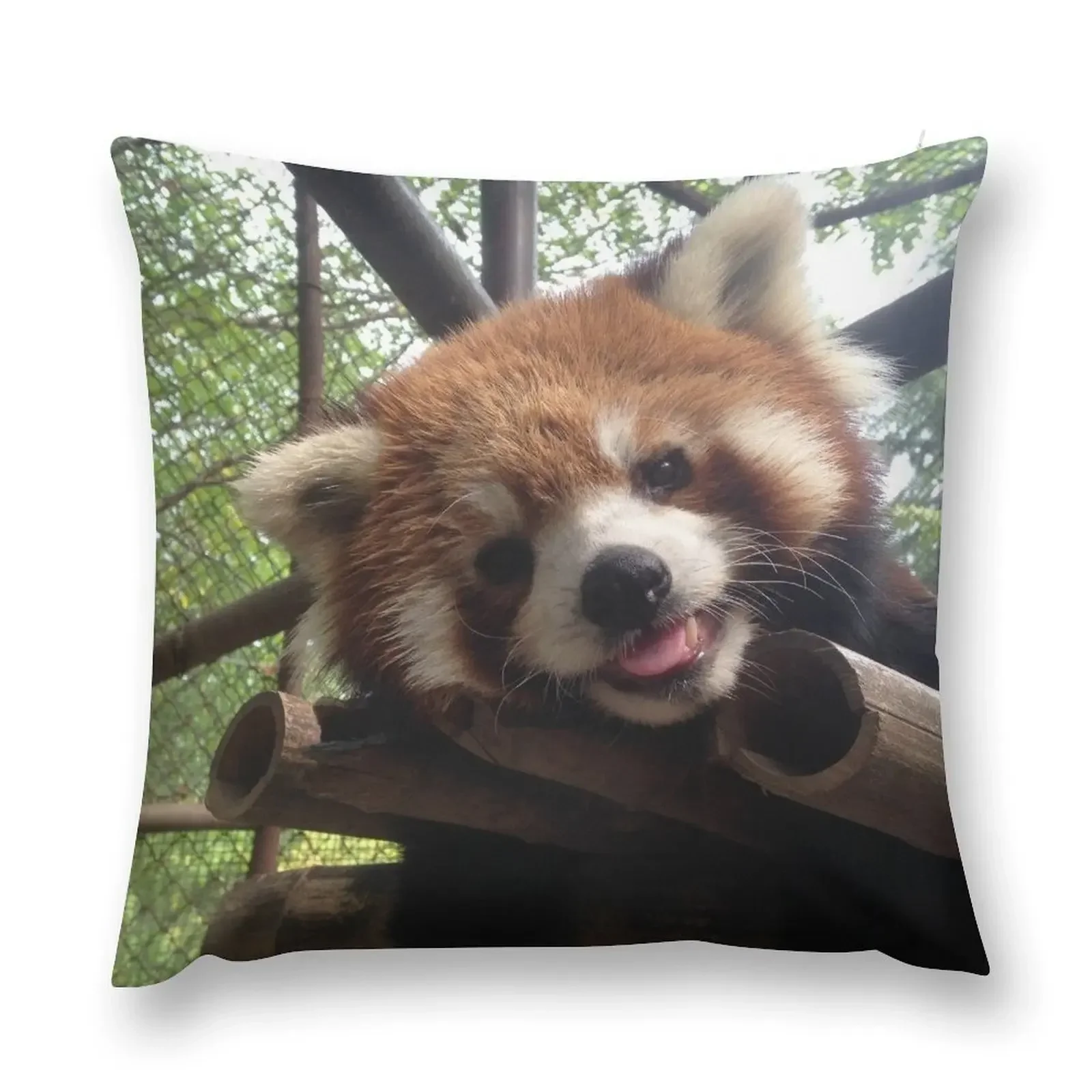 

Red panda Throw Pillow Sofa Cushions Marble Cushion Cover Cushion Child Luxury Living Room Decorative Cushions pillow