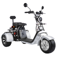 1500W 2000w 3000w electric scooter city cocoa fat tire adult scooter electric city