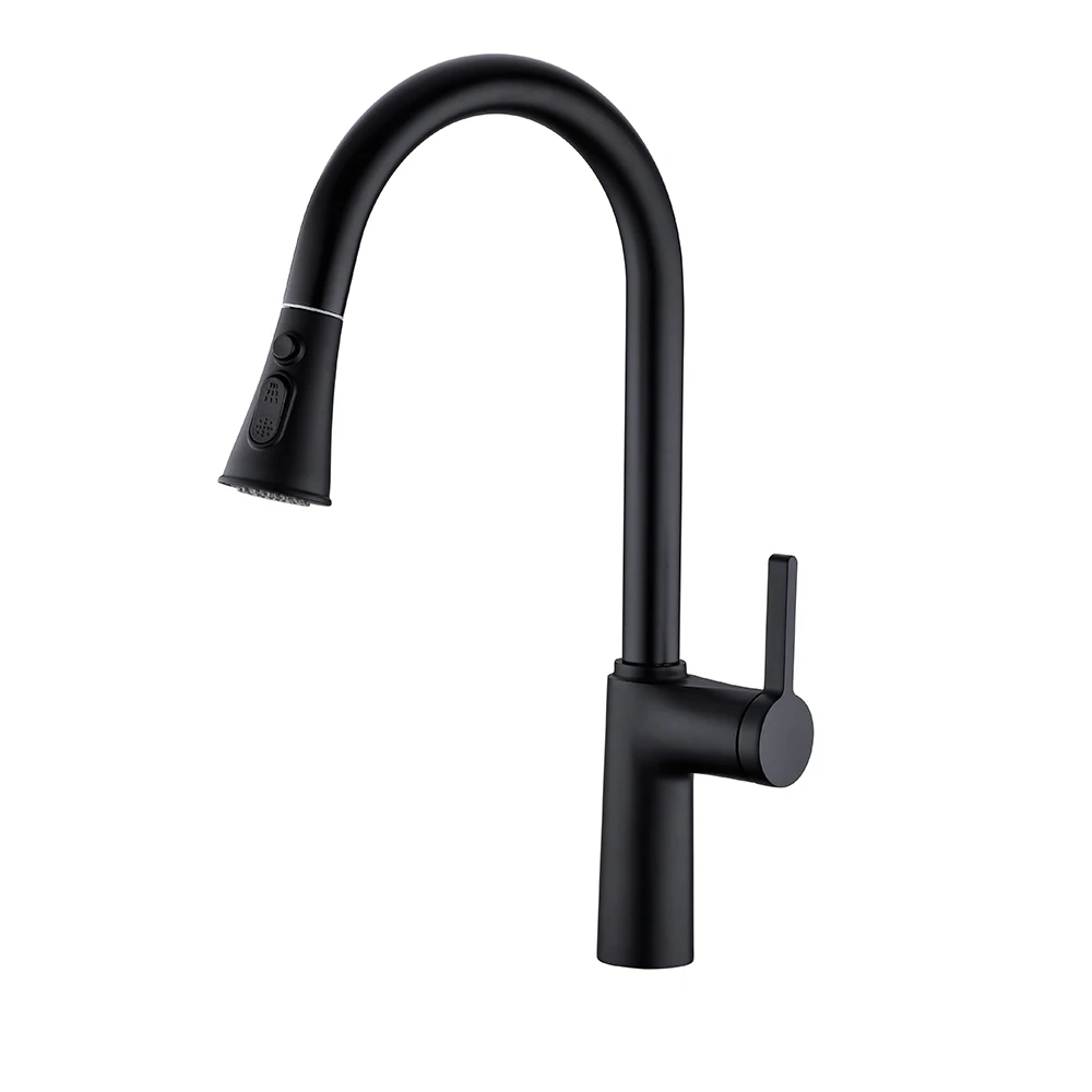 

Modern Multi-functional Single Handle Kitchen Sink Tap Black Pull-Out Design