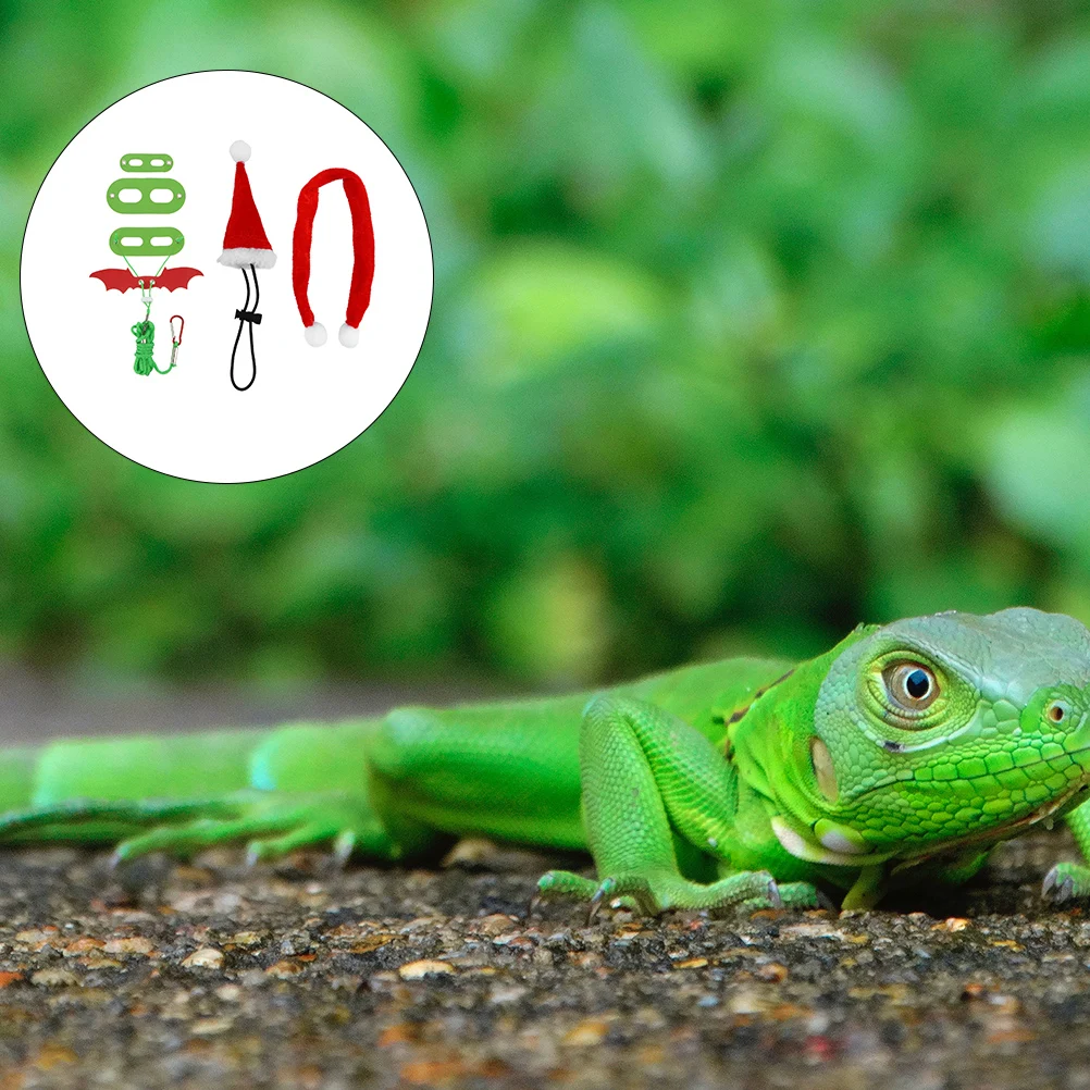 

1Set Reptile Pet Walking Leash Soft Comfortable Fit for Lizards Geckos Chameleons Lizard Dress Decor Outdoor Use