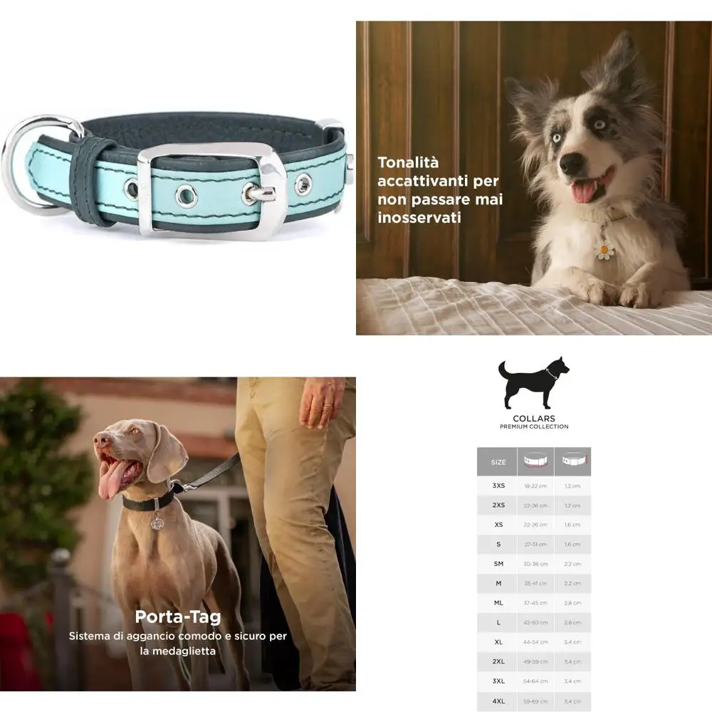 

Genuine Italian Leather Dog Collar, Adjustable and Comfortable, Durable Handmade White Bronze Metallic Finish, Ideal for Everyda