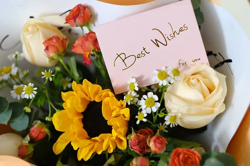 

Tracker 2810 Brushless Motor for Mark4 APEX FPV Freestyle Drones 1180KV 1350KV 1500KV Compatible with 7inch 8inch LR7 Models