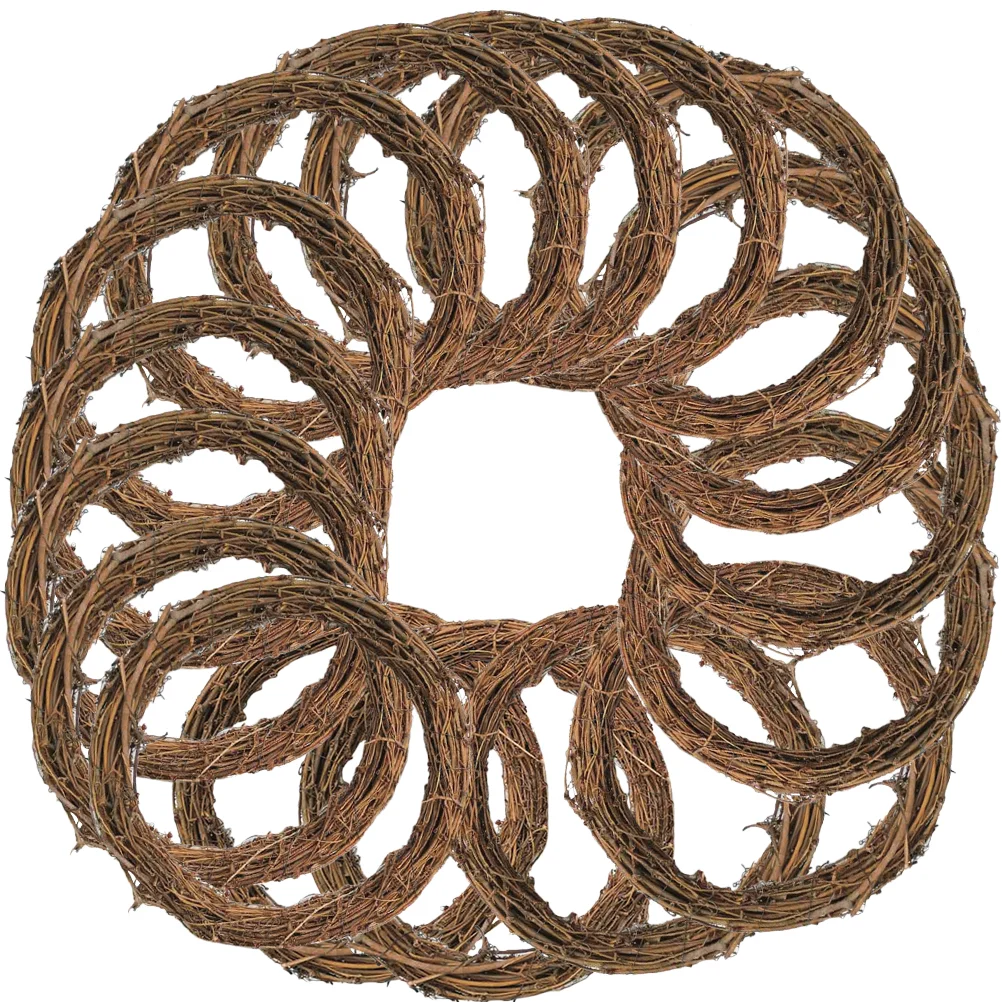 

16 Pcs Earth Vine Garland DIY Frames Hand Woven Rattan Rings Wreath Wire Decorations