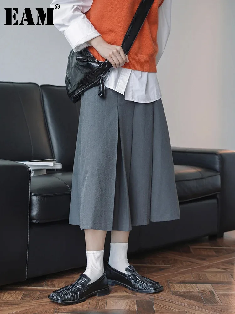 

[EAM] High Waist Dark Gray Pleated Elegant A-line Midi Half-body Skirt Women Fashion Tide New Spring Autumn 2024 1DH0237