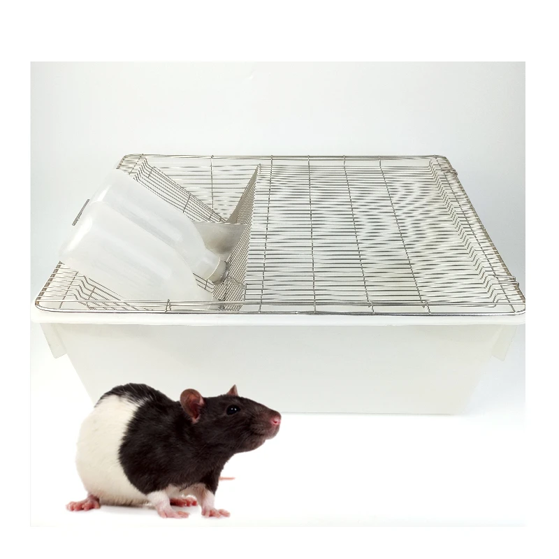 

Mouse Feeding Cage with Large Cheap 545x395x200mm PP PC Rodent Feeding Barrel Plastic Polypropylene Polycarbonate