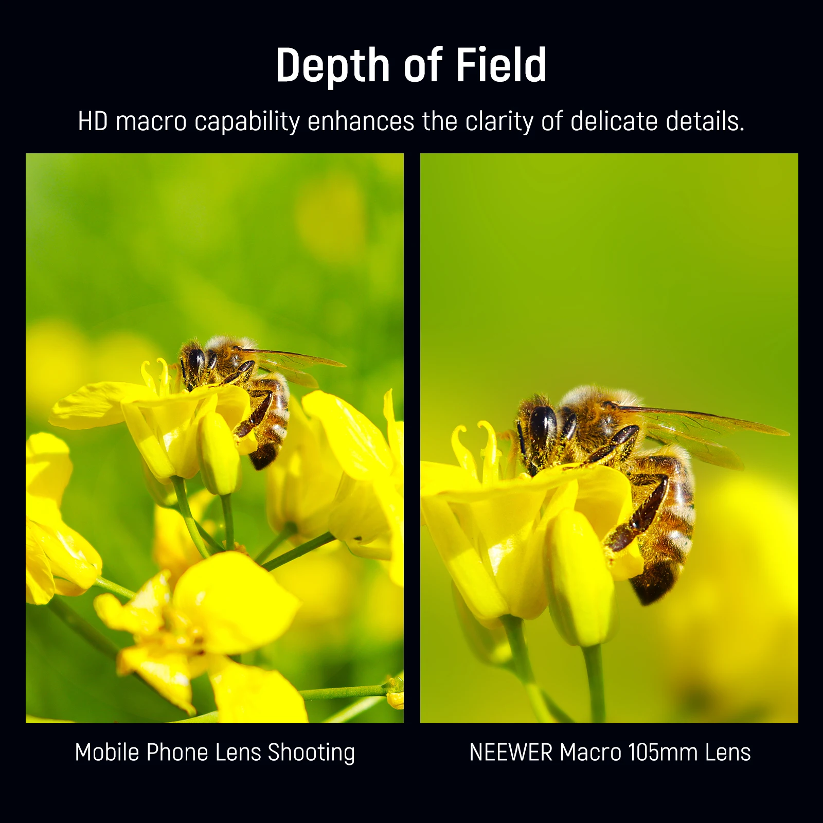 NEEWER HD Obiettivo macro da 105 mm solo per piastra posteriore con filettatura da 17 mm per iPhone Samsung Custodia per gabbia per telefono Xiaomi con adattatore per obiettivo da 17 mm