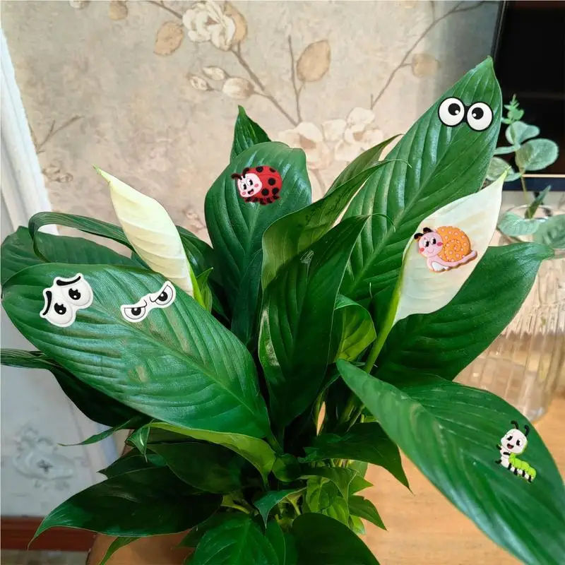 Plant Eyes for Indoor Plant Safe Magnets, Decoração engraçada, Uso ao ar livre, Plant Lover Gifts, 6pcs